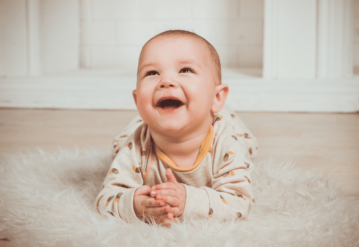 فن الفطام: دليل شامل